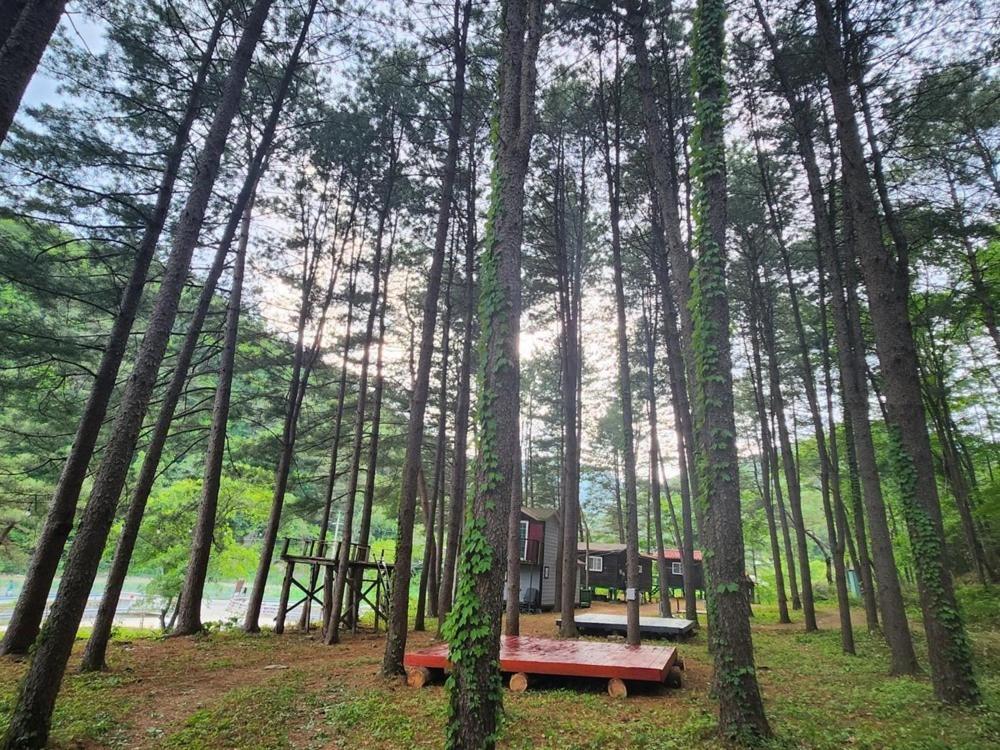 Hongcheon Gongjaksan Recreational Forest Pension Экстерьер фото